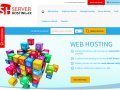 Server hosting a web hosting