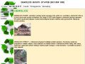 Demolice budov a staveb