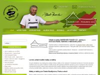 Fasády - opravy, nátěry, zateplení fasád