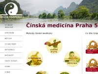 Čínská medicína Praha 5