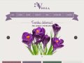 Violla