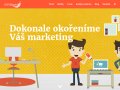 Komplexní online marketing