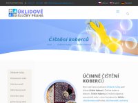 Čištění koberců a úklidové služby